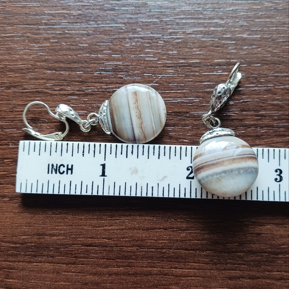 Silver Tone Leverback Brown Striped Stone Earrings - Picture 11 of 13